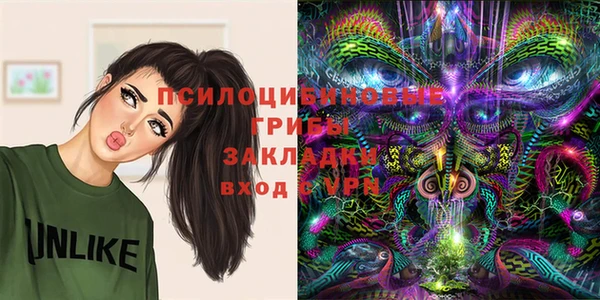 шишки Остров