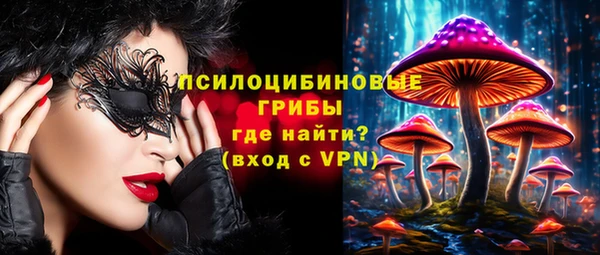 шишки Остров