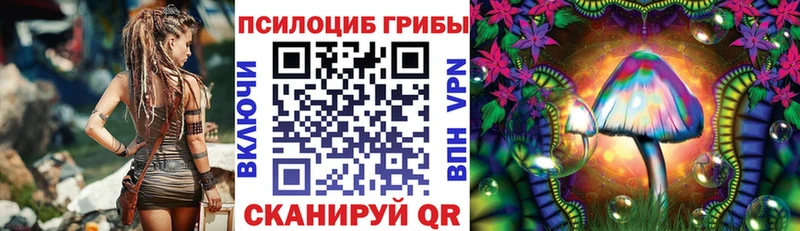 Галлюциногенные грибы прущие грибы  магазин  наркотиков  Бердск 