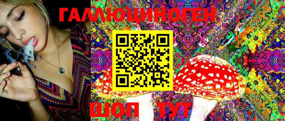 Псилоцибиновые грибы Magic Shrooms  Вход с VPN  Бердск 